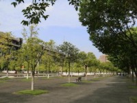 四川大學師范學院江安校區(qū)2023年學費、收費多少