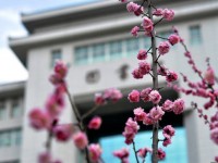 延安大學師范學院楊家?guī)X校區(qū)2023年學費、收費多少