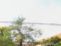 西安職業(yè)中等幼師專業(yè)學(xué)校2023年報名條件、招生要求、招生對象