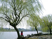 金華職業(yè)技術師范學院2023年學費、收費多少