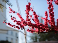 山東威海藝術(shù)幼兒師范學(xué)校2023年學(xué)費、收費多少