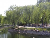 新鄉(xiāng)工程師范學(xué)院2023年學(xué)費(fèi)、收費(fèi)多少