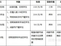 四川文軒職業(yè)幼兒師范學校2023年學費、收費多少