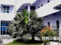 四川信息工程幼兒師范學(xué)校2023年報(bào)名條件、招生要求、招生對(duì)象