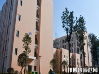 成都信息技術(shù)幼兒師范學(xué)校2023年報(bào)名條件、招生要求、招生對象
