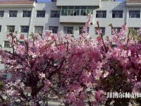 保定育德中專(zhuān)幼兒師范學(xué)校2023年網(wǎng)站網(wǎng)址