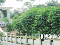 德陽通用電子科技幼兒師范學校2021年報名條件、招生要求、招生對象