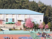 云南林業(yè)幼兒師范高級(jí)技工學(xué)校2023年學(xué)費(fèi)、收費(fèi)多少