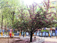石家莊法商幼兒師范中等專業(yè)學(xué)校2023年報(bào)名條件、招生要求、招生對象