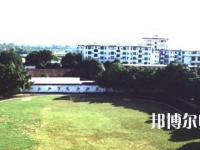 南寧2020年幼師學校開設(shè)有哪些課程