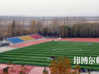 鶴崗師范高等?？茖W(xué)校2023年招生代碼