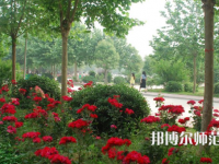 河南科技職業(yè)師范大學2023年報名條件、招生要求、招生對象