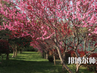 河南科技職業(yè)師范大學2023年怎么樣、好不好