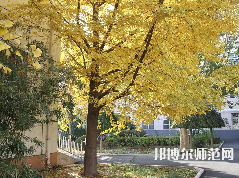 北京京北職業(yè)師范技術(shù)學(xué)院2023年報(bào)名條件、招生要求、招生對(duì)象