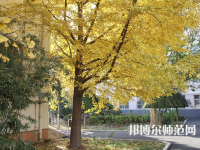 北京京北職業(yè)師范技術(shù)學(xué)院2023年報名條件、招生要求、招生對象