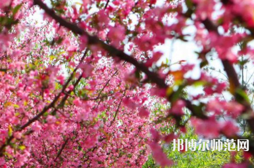 鄭州大學(xué)師范學(xué)院主校區(qū)2023年報(bào)名條件、招生要求、招生對象