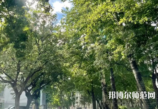 中央民族師范大學(xué)2023年報名條件、招生要求、招生對象