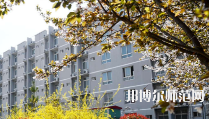 周口職業(yè)技術(shù)師范學(xué)院文昌校區(qū)2023年怎么樣、好不好