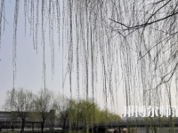 鶴壁職業(yè)技術(shù)師范學(xué)院2023年怎么樣、好不好
