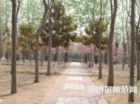 濮陽職業(yè)技術(shù)師范學(xué)院2023年報(bào)名條件、招生要求、招生對象