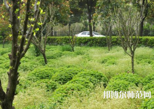 駐馬店師范職業(yè)技術(shù)學(xué)院2023年報(bào)名條件、招生要求、招生對象