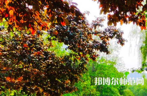 河南大學師范學院金明校區(qū)2023年怎么樣、好不好