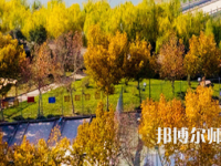 河南理工師范大學(xué)北校區(qū)2023年報(bào)名條件、招生要求、招生對(duì)象