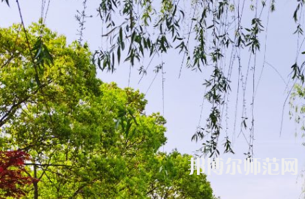 南陽理工師范學院2023年報名條件、招生要求、招生對象