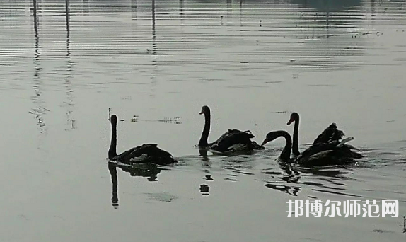 浙江師范大學行知學院蘭溪校區(qū)2023年怎么樣、好不好