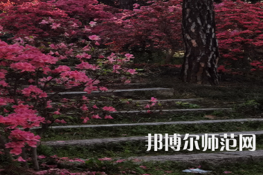 信陽師范學(xué)院華銳學(xué)院2023年報名條件、招生要求、招生對象