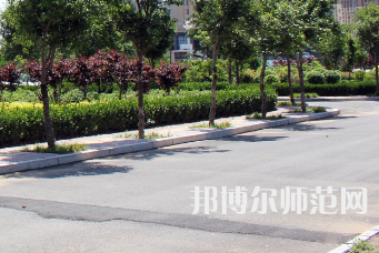 安陽幼兒師范高等?？茖W(xué)校2023年有哪些專業(yè)