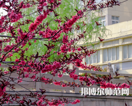 蘇州科技師范大學(xué)天平學(xué)院2023年報(bào)名條件、招生要求、招生對(duì)象