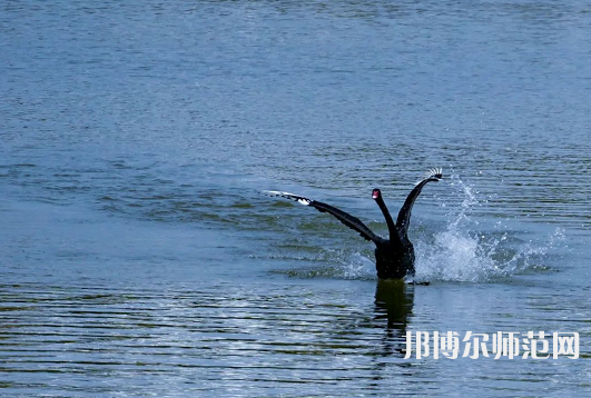 浙江師范大學(xué)2023年怎么樣、好不好