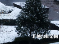 焦作師范高等?？茖W(xué)校2023年報(bào)名條件、招生要求、招生對(duì)象
