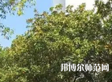湖南理工師范學(xué)院南湖學(xué)院2023年怎么樣、好不好