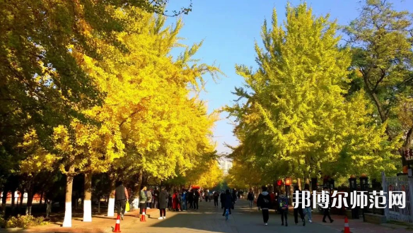 遼寧大學師范學院崇山校區(qū)2023年報名條件、招生要求、招生對象
