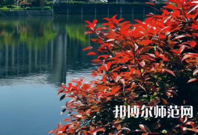南華大學船山師范學院雨母校區(qū)2023年報名條件、招生要求、招生對象