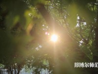 咸陽職業(yè)技術(shù)師范學(xué)院2023年報(bào)名條件、招生要求、招生對(duì)象
