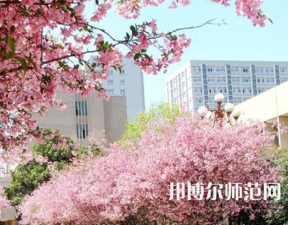 中國(guó)礦業(yè)師范大學(xué)徐海學(xué)院2023年報(bào)名條件、招生要求、招生對(duì)象