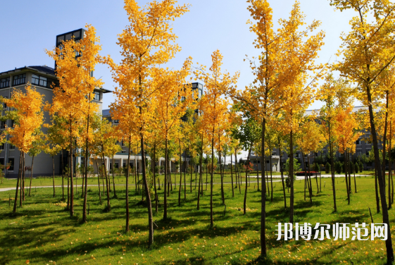 寧夏民族職業(yè)技術(shù)師范學(xué)院2023年怎么樣、好不好 