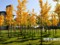 瀘州啟明幼師職業(yè)技術學校2023年怎么樣、好不好