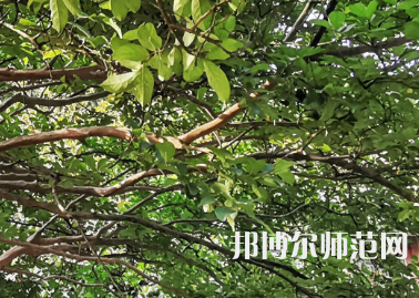 湖南師范大學(xué)2023年報(bào)名條件、招生要求、招生對(duì)象