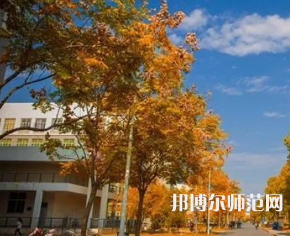 南京師范大學(xué)泰州學(xué)院2023年報(bào)名條件、招生要求、招生對象