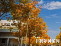 南京師范大學(xué)泰州學(xué)院2023年報(bào)名條件、招生要求、招生對(duì)象