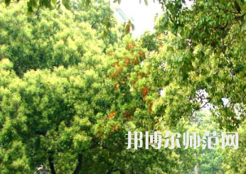衡陽師范學(xué)院南岳學(xué)院2023年怎么樣、好不好