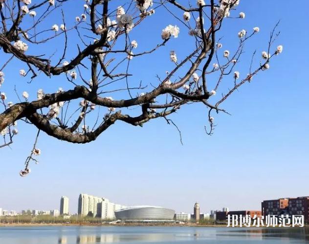 天津理工師范大學(xué)2023年報(bào)名條件、招生要求、招生對(duì)象