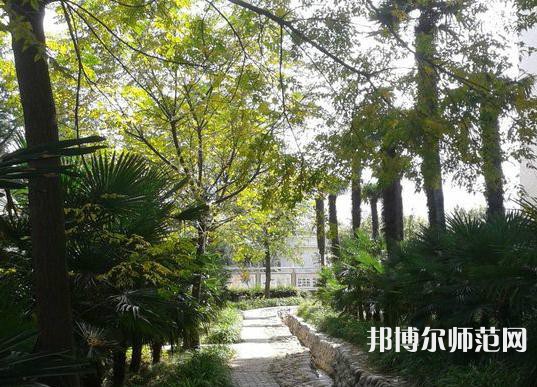西北大學師范學院桃園校區(qū)2023年怎么樣、好不好