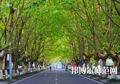 四川農(nóng)業(yè)師范大學(xué)雅安校區(qū)2023年怎么樣、好不好
